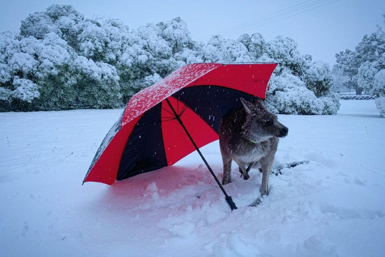 If this Monday morning felt dark and miserable, maybe knowing it's the winter solstice might brighten your mood.