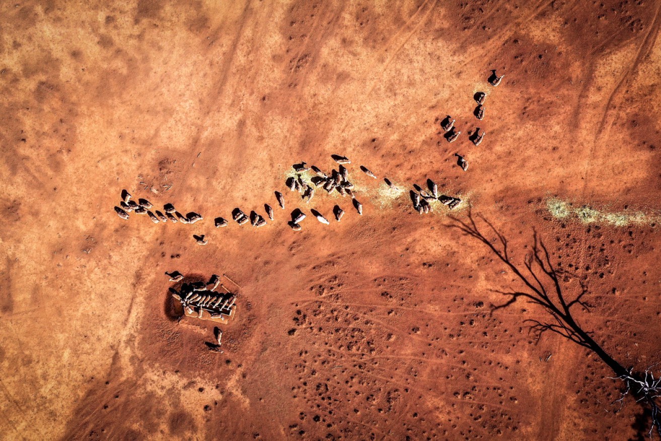 Australian farmers say they want stronger action on climate change, including from Barnaby Joyce. 