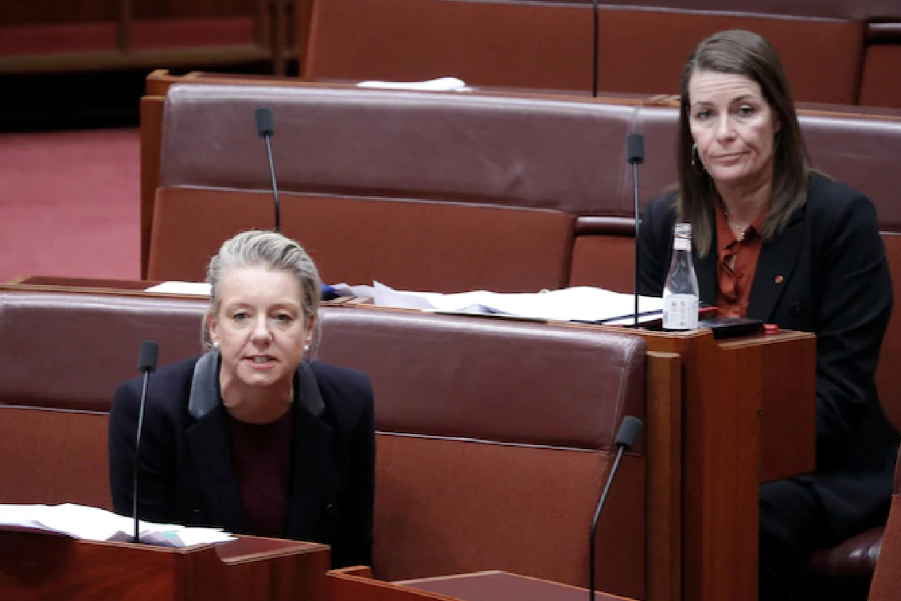 Bridget McKenzie (left) and Perin Davey are pushing to change the Murray-Darling Basin Plan.