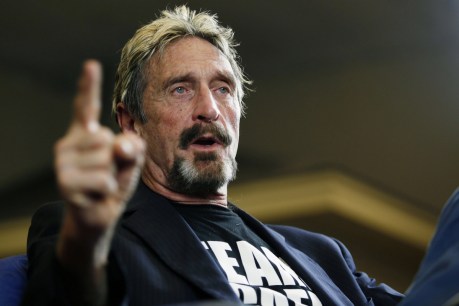 Software mogul John McAfee dies in prison