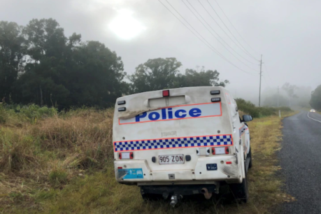 Two men killed in Sunshine Coast plane crash