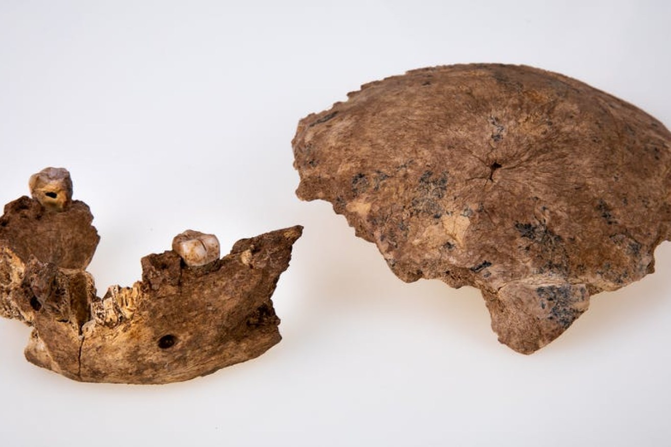 The Nesher Ramla Homo exchanged tool-making tips with modern humans. 