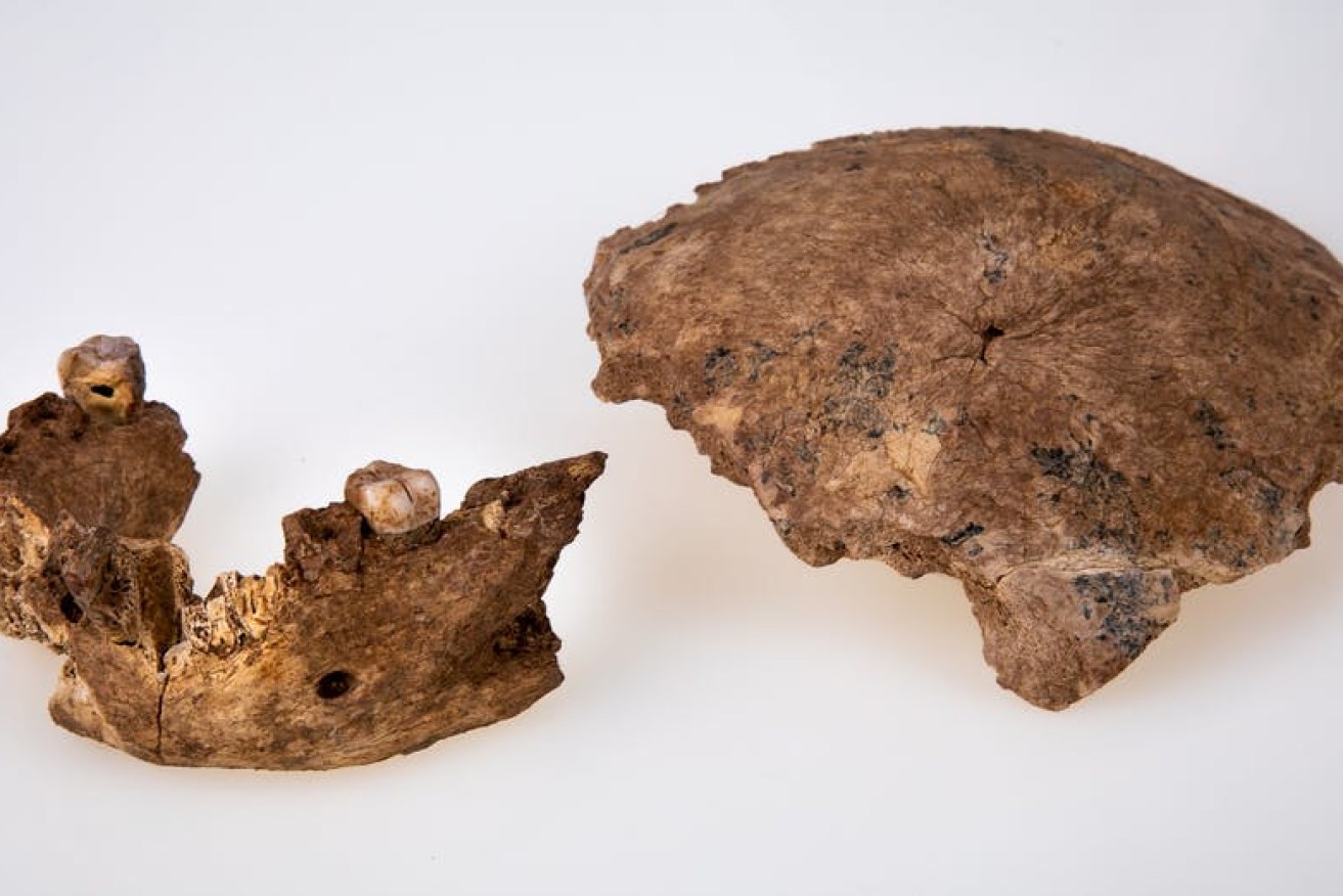 The Nesher Ramla Homo exchanged tool-making tips with modern humans.