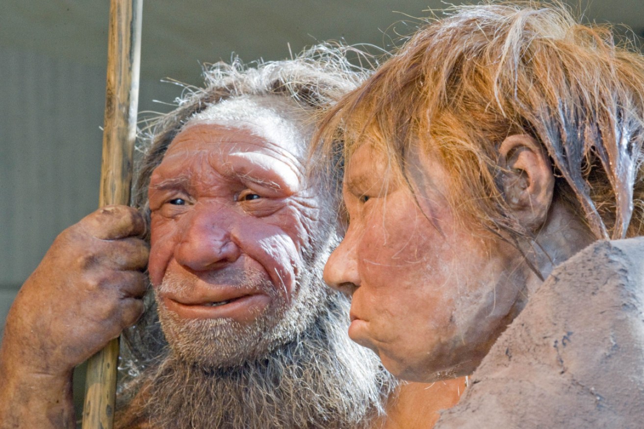 A fossil suggests Homo longi was closer to modern humans than the Neanderthals.
