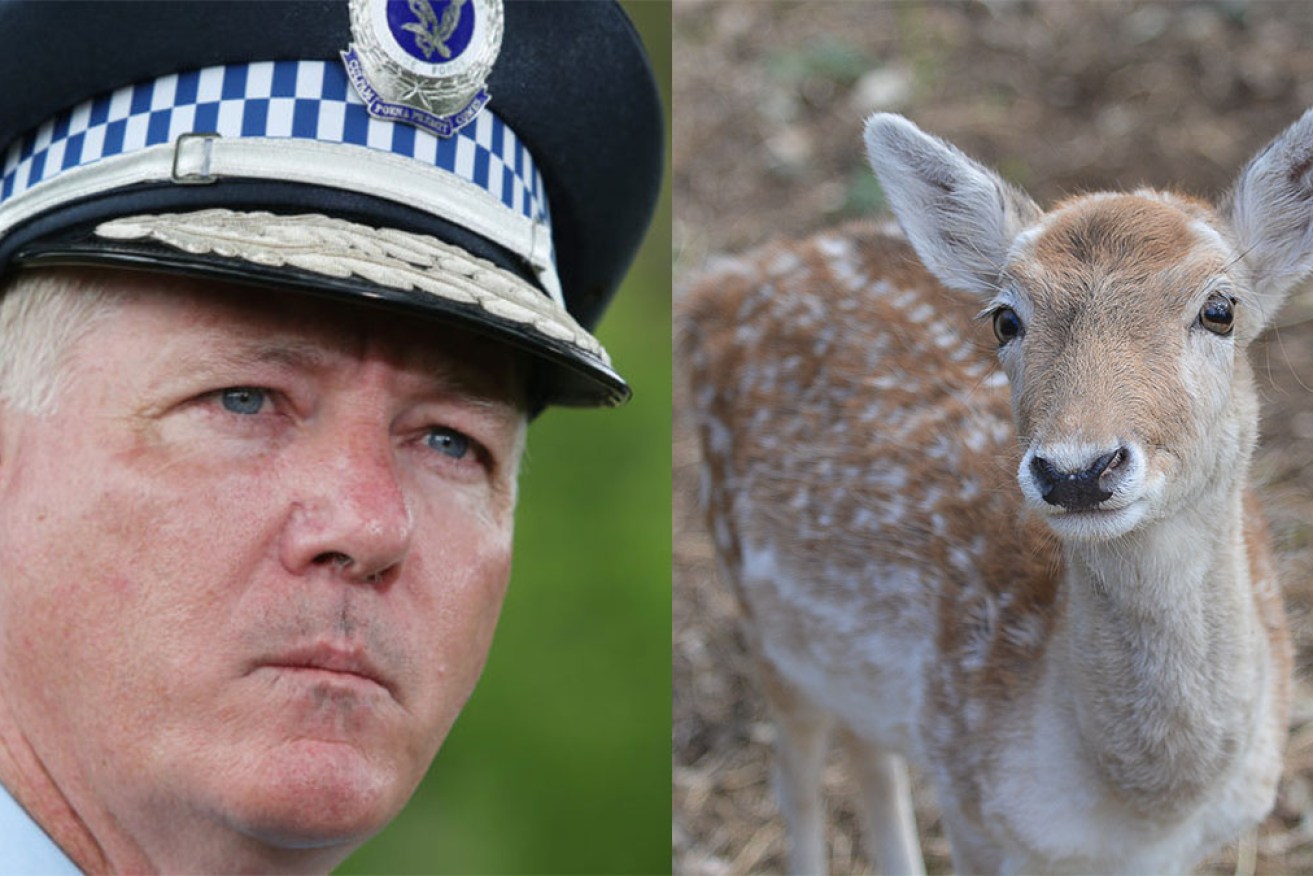 Police Commissioner Mick Fuller (left) said the pair were startled by a deer while sun-baking naked. 