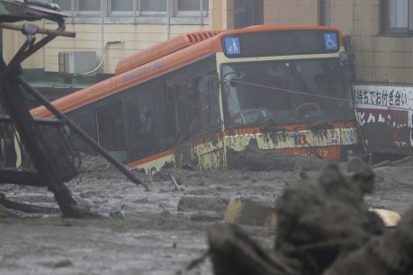 Landslide flattens coastal town in Japan, search for 20 missing people
