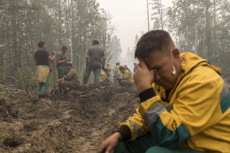 Siberia blazes burn more than 1m hectares