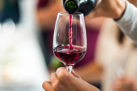 Wine exports to China plummet as Australian winemakers deliver best vintage