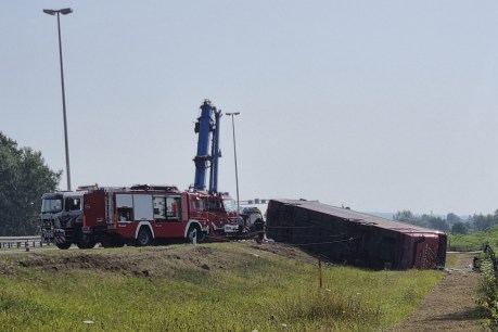 Ten killed as bus swerves off road in Croatia