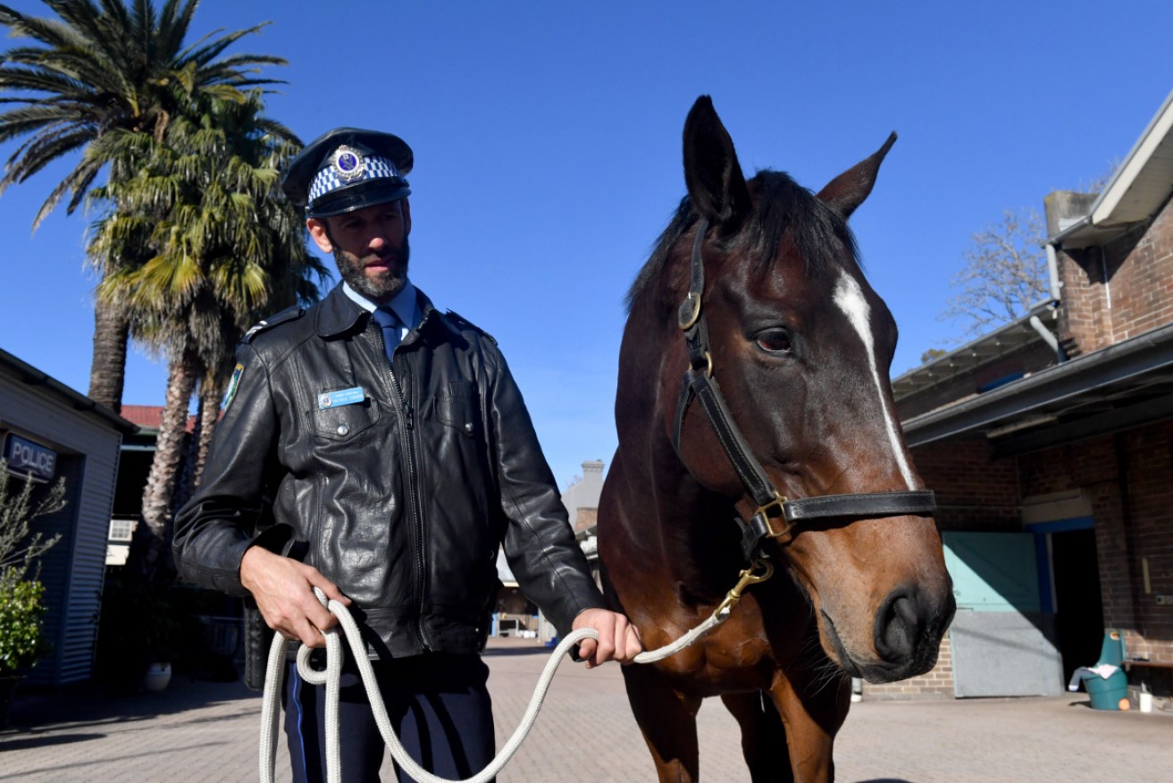 Tobruk with Senior Constable Patrick Condon the day after the Sydney lockdown protests.