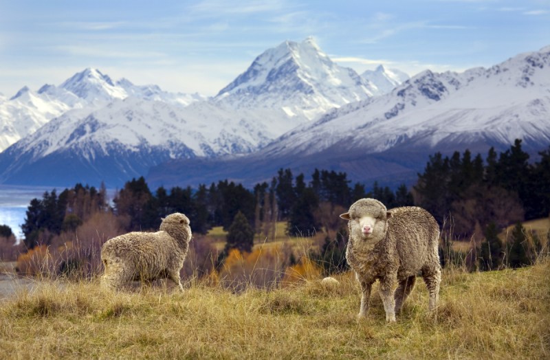 New Zealand best place to survive the end of the world