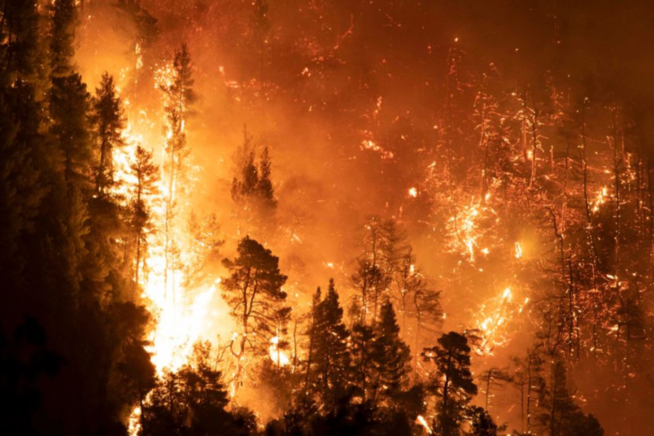 A forest near Athens erupts in flames after a week of torrid temperatures and howling winds.