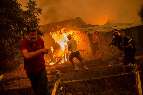 Wildfires continue to ravage Greek island of Evia