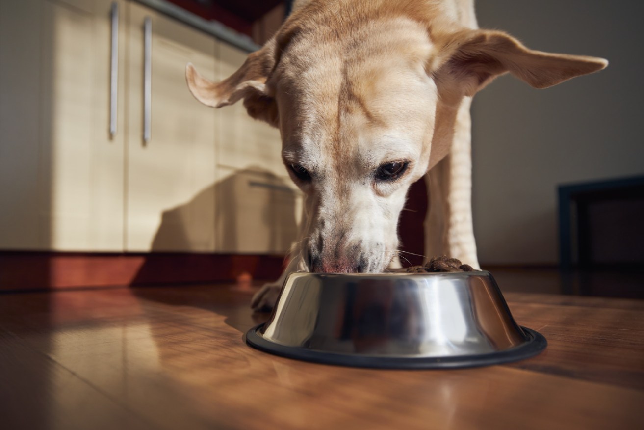 More than 20 dogs have died from eating the meat, with another 60 falling ill.