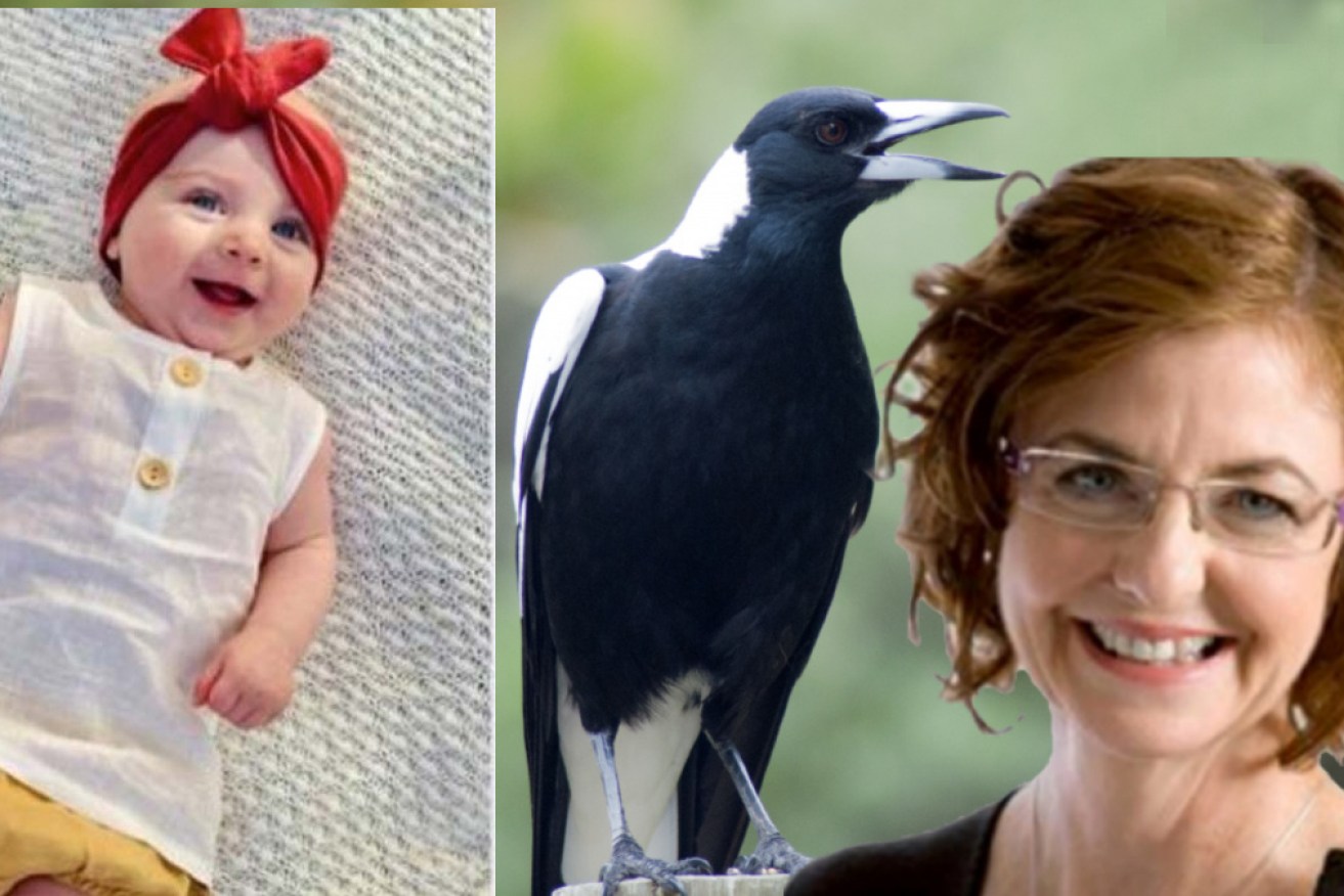 Baby Mia's tragic death must be a catalyst for change when it comes to managing birds, writes Madonna King. 