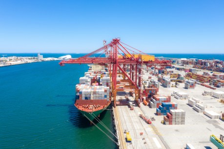 Price shock warning as global shipping slows