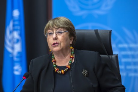 UN human rights boss reports on alleged executions by Taliban in Afghanistan
