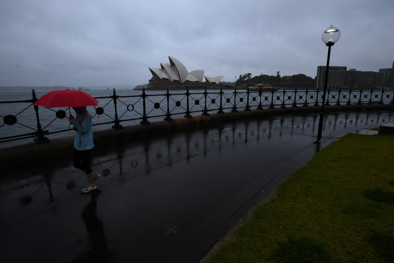 Parts of NSW have been lashed by strong winds and heavy rain on Tuesday.