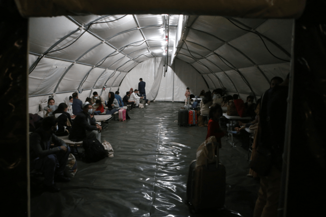 These lucky few, who escaped with little but their lives, await processing after arriving in Albania.