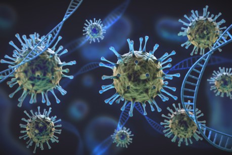 WHO monitors new coronavirus variant