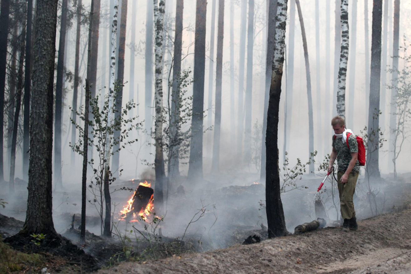 Once a verdant sanctuary of animals and greenery, climate change has reduced this Russian forest to a charred wasteland.