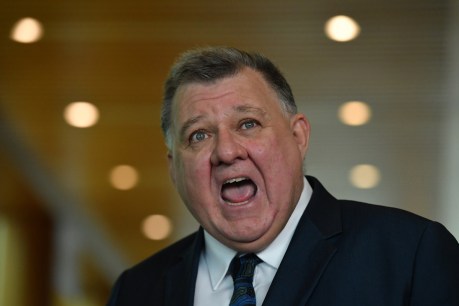 Stop spam vaccine texts: TGA's threat to Craig Kelly