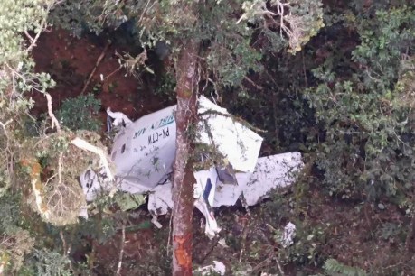 Three die in Papua province cargo plane crash 