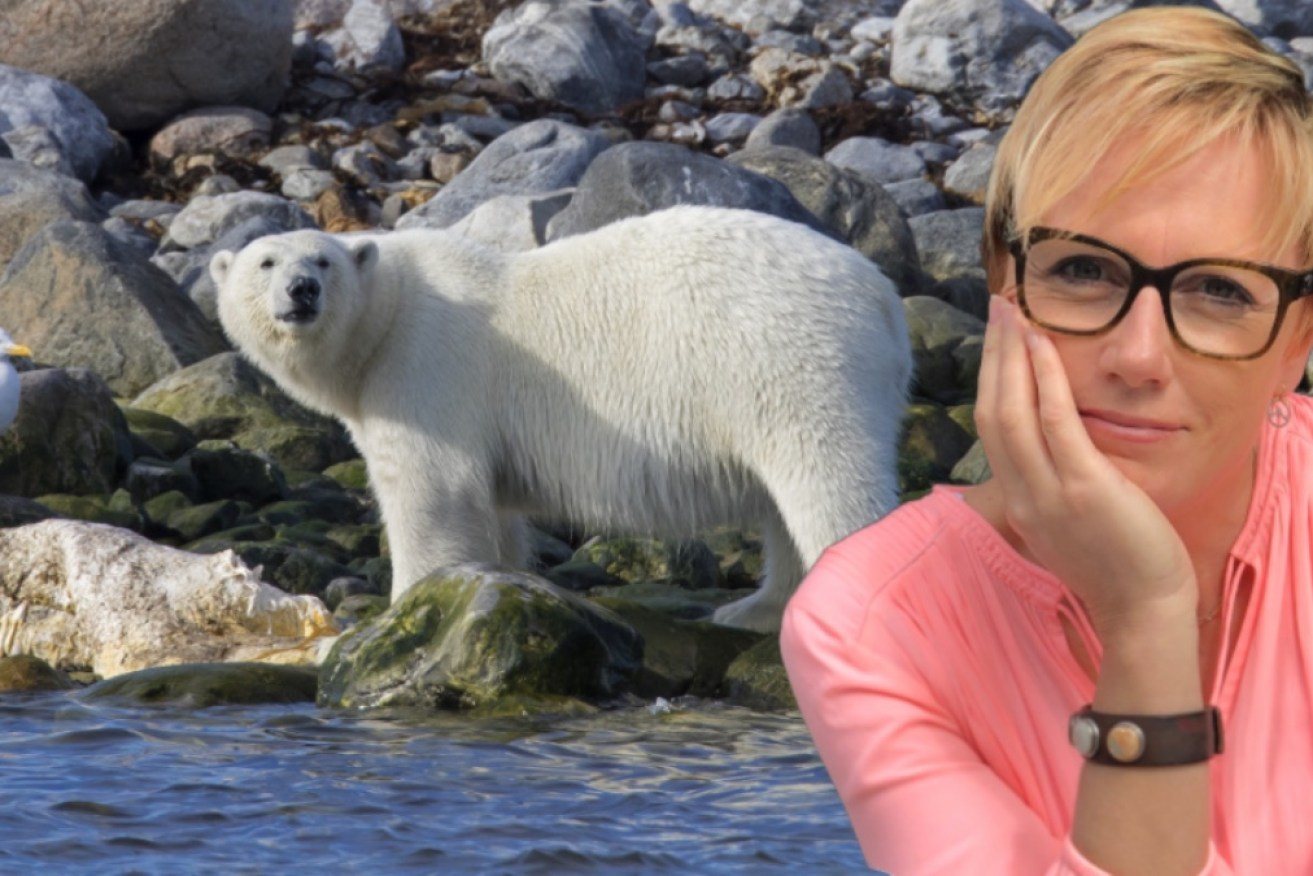 Seeing polar bears in the wild was simultaneously a glorious and devastating experience.