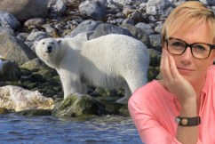 Doubt the climate crisis? Ask a starving polar bear