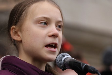 Greta Thunberg belittles misogynist Andrew Tate