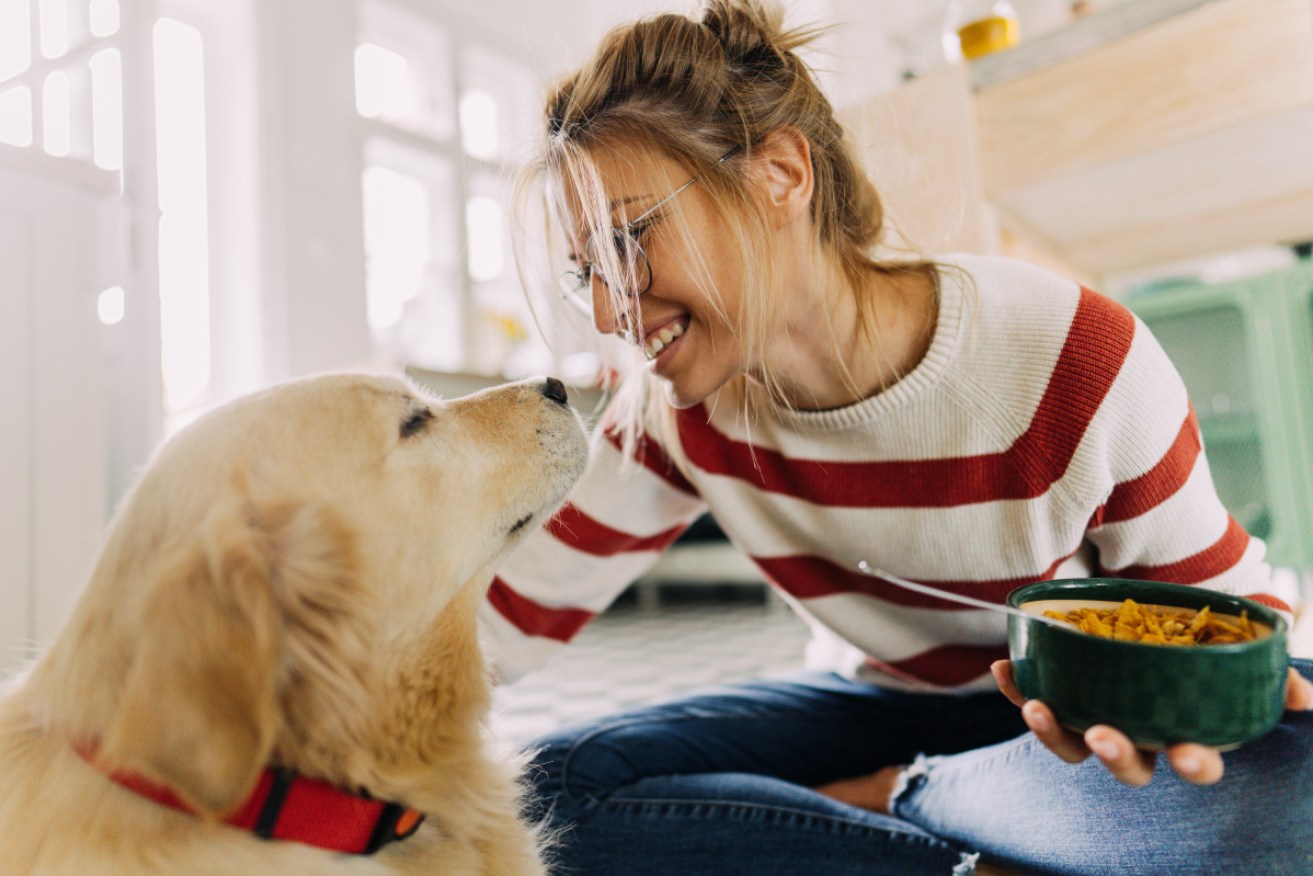 Aussies are spending billions spoiling their pets.