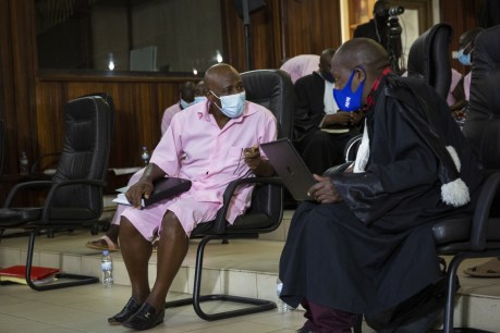 <i>Hotel Rwanda</i> hero guilty of terror charges