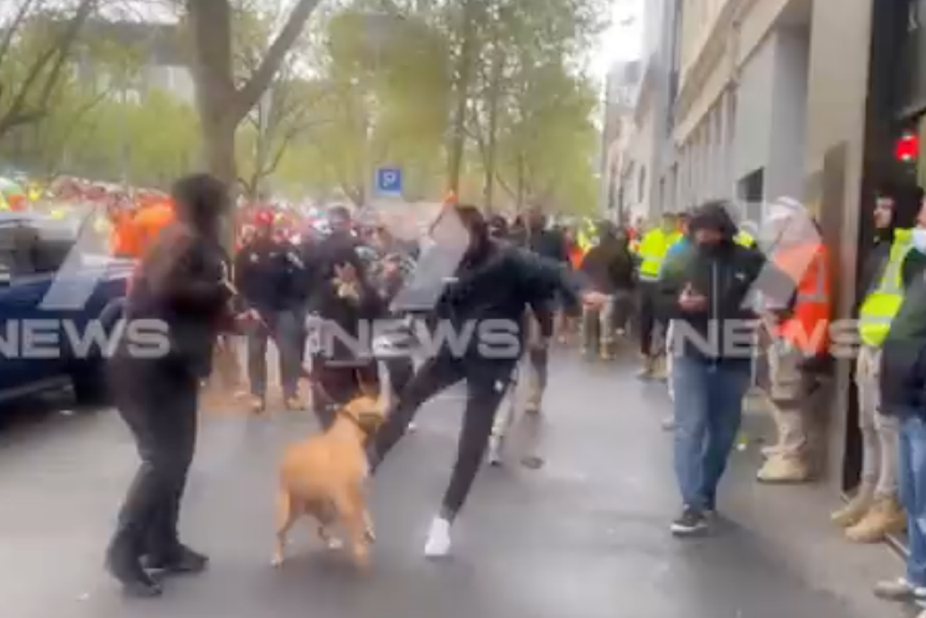 RSPCA has confirmed it will investigate the incident of a man kicking a dog at a protest in Melbourne's CBD.