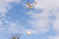 Angry birds disrupt drone deliveries