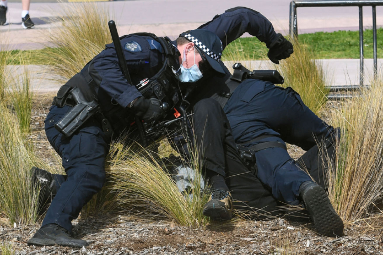 Police persuade a protester to come quietly amid wild scenes at St Kilda beach.