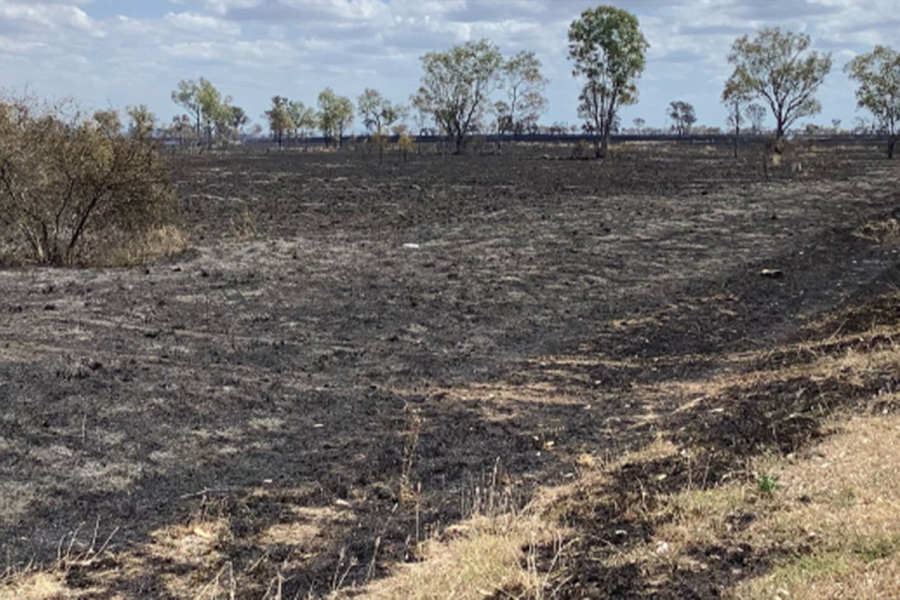 The men allegedly threw fireworks and sparked the blaze.