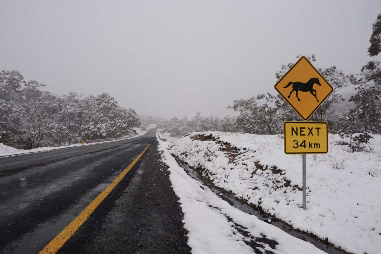 The NSW Snowy Mountains region is going into a week-long lockdown due to the spread of COVID-19.