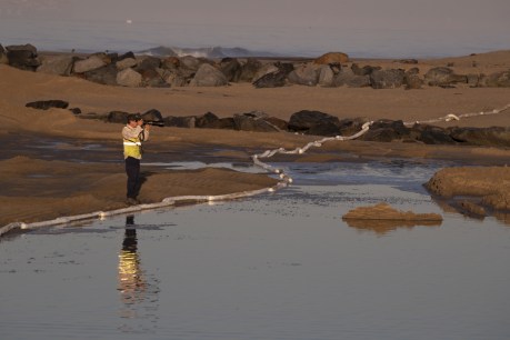 Big US west coast oil spill fouls beaches