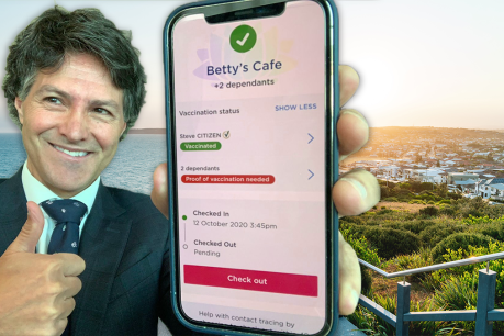 NSW to navigate check-ins without updated app