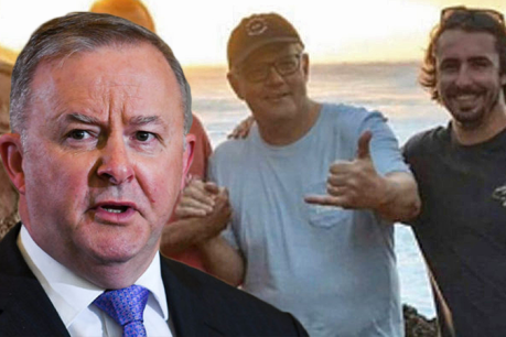 Anthony Albanese on renewable energy: Ask Elvis, the truth always triumphs