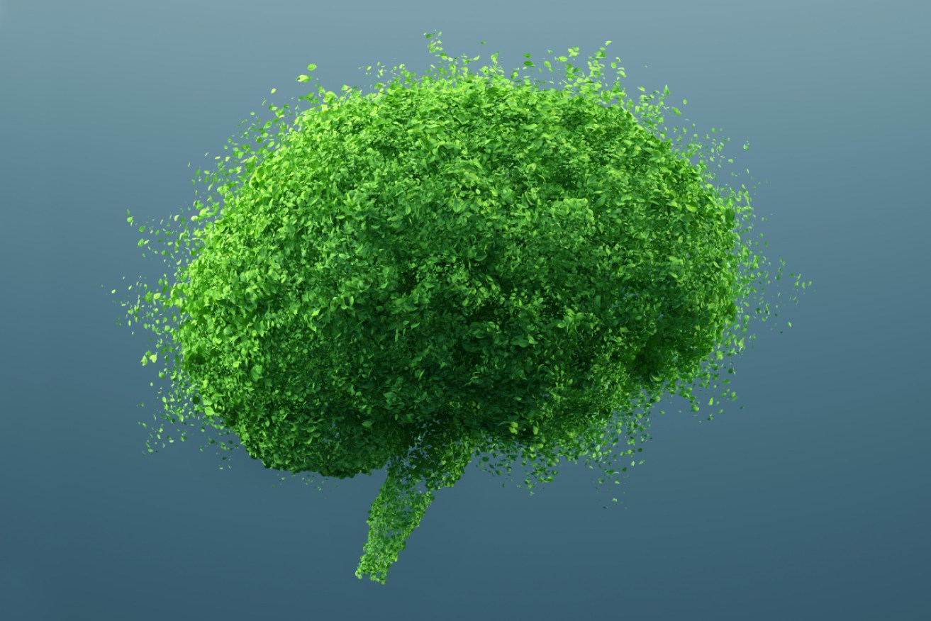 Leafy greens, berries and nuts are some of the key ingredients that promote brain health.