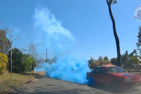 QLD man charged over gender-reveal burnouts