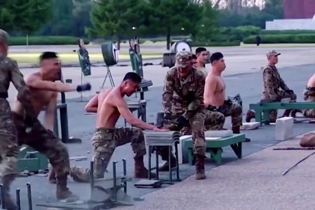 From military demos to novelty horns, these are our picks for videos of the week