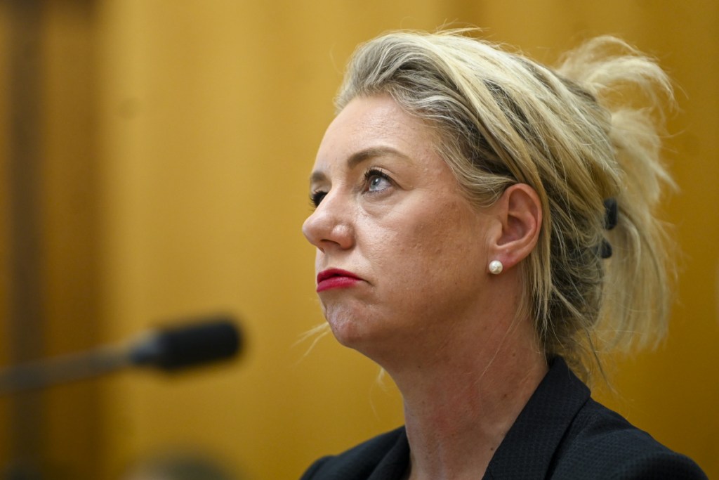 flood Bridget McKenzie