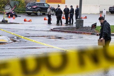 Two dead, four injured in US mall shooting