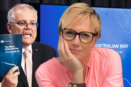 Zoe Daniel: If the PM’s climate plan is ‘uniquely Australian’, that’s not my Australia