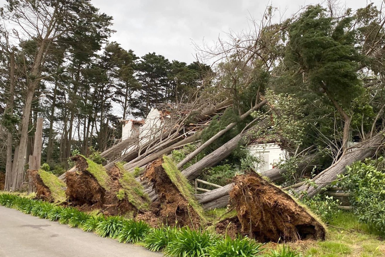 The extreme weather event brought down thousands of trees and power lines.