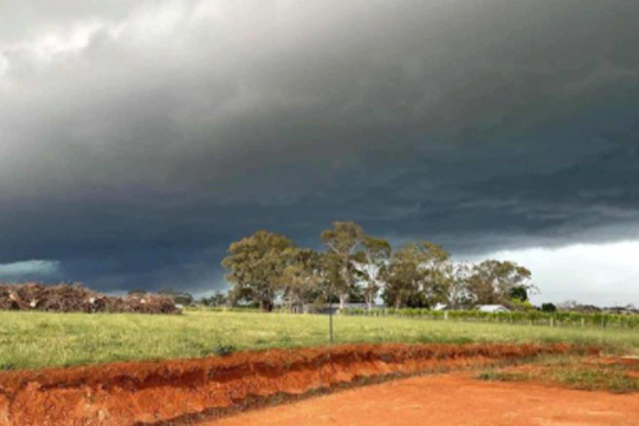 The storm has changed the 2022 harvest for the Barossa Valley. 