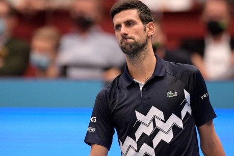 Novak Djokovic’s travel forms under scrutiny as visa decision drags on