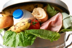 'Funny-looking solution' to issue of food waste